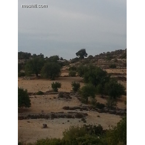 <a href='https://www.meshiti.com/view-property/en/2291_mountains_30_min._driving_distance_or_more_land__plot_for_sale/'>View Property</a>