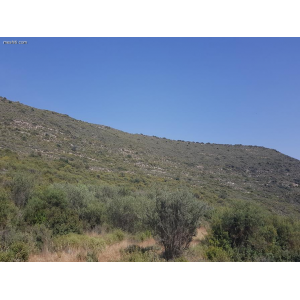 <a href='https://www.meshiti.com/view-property/en/3441_mountains_30_min._driving_distance_or_more_land__plot_for_sale/'>View Property</a>