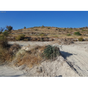 <a href='https://www.meshiti.com/view-property/en/4355_mountains_30_min._driving_distance_or_more_land__plot_for_sale/'>View Property</a>
